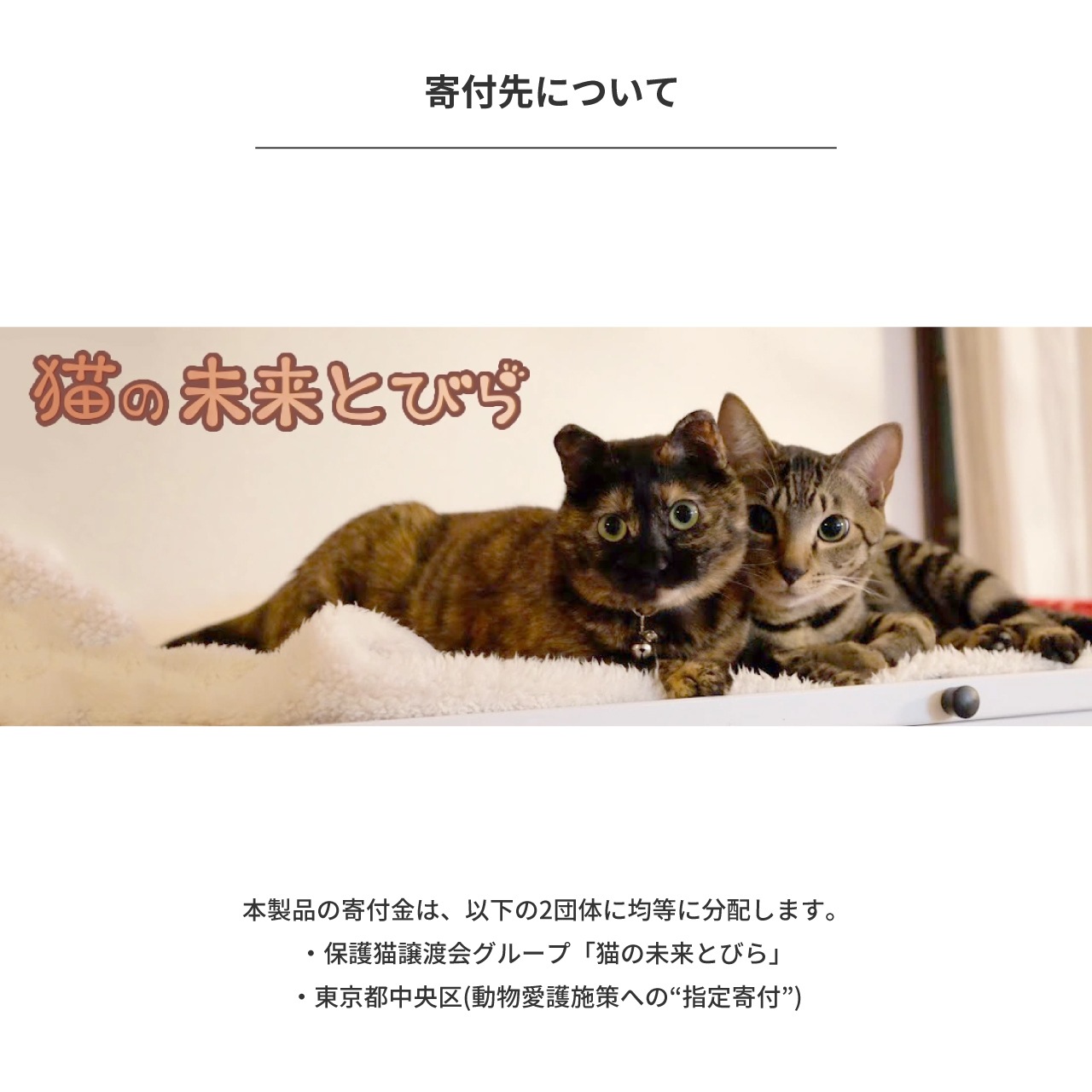 HP-C28BT NEKO �����磻��쥹����ۥ�