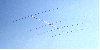 RY-124A ( 24MHz 4ele )���̼���������