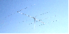 RY-104A ( 28MHz 4ele )