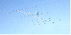 RY-105A ( 28MHz 5ele )���̼���������