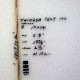 5'8" IN.STAƥȳȯ/ ͤε꡼/ťܡ/