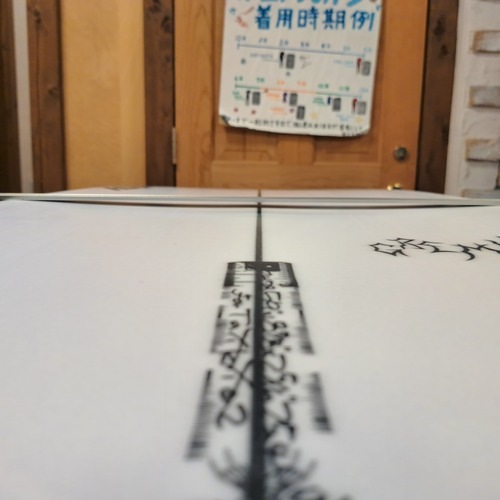 5'9" �����ȥ�åȥ������GREMLIN��ǥ��PU�åۥ磻�ȥ֥饷