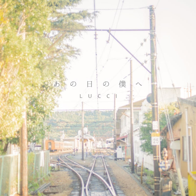 LUCCI ���������ͤ�