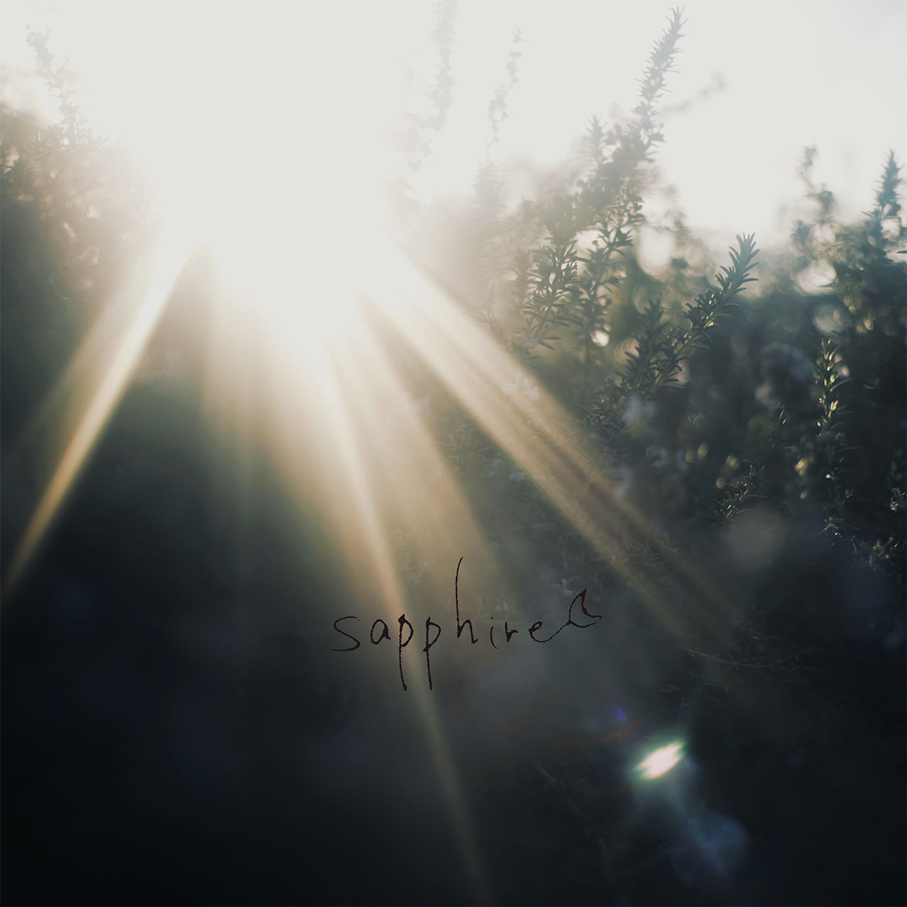 WALTZMORE ��̤ / sapphire