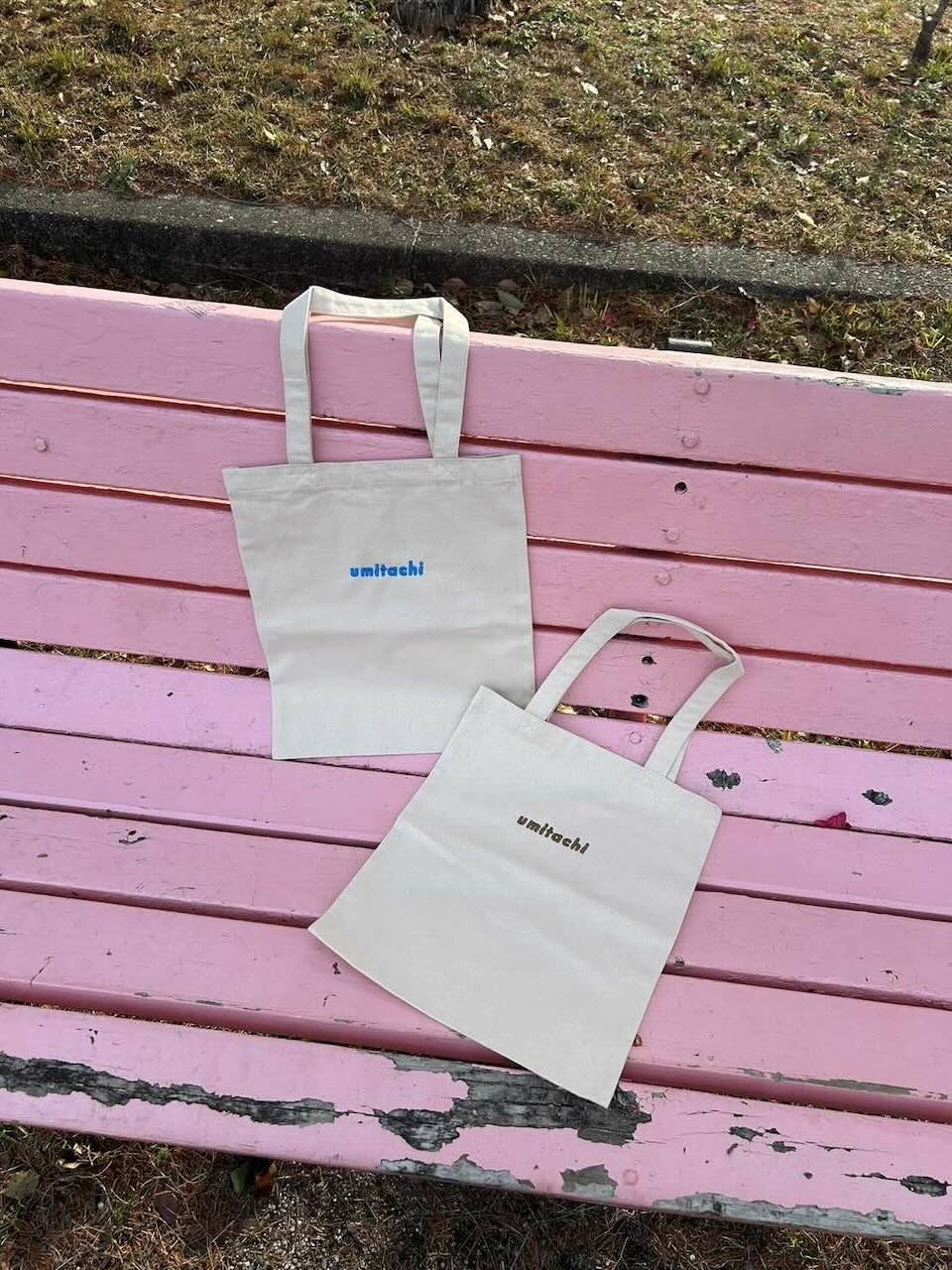 �ɽ��ȡ��ȥХå�