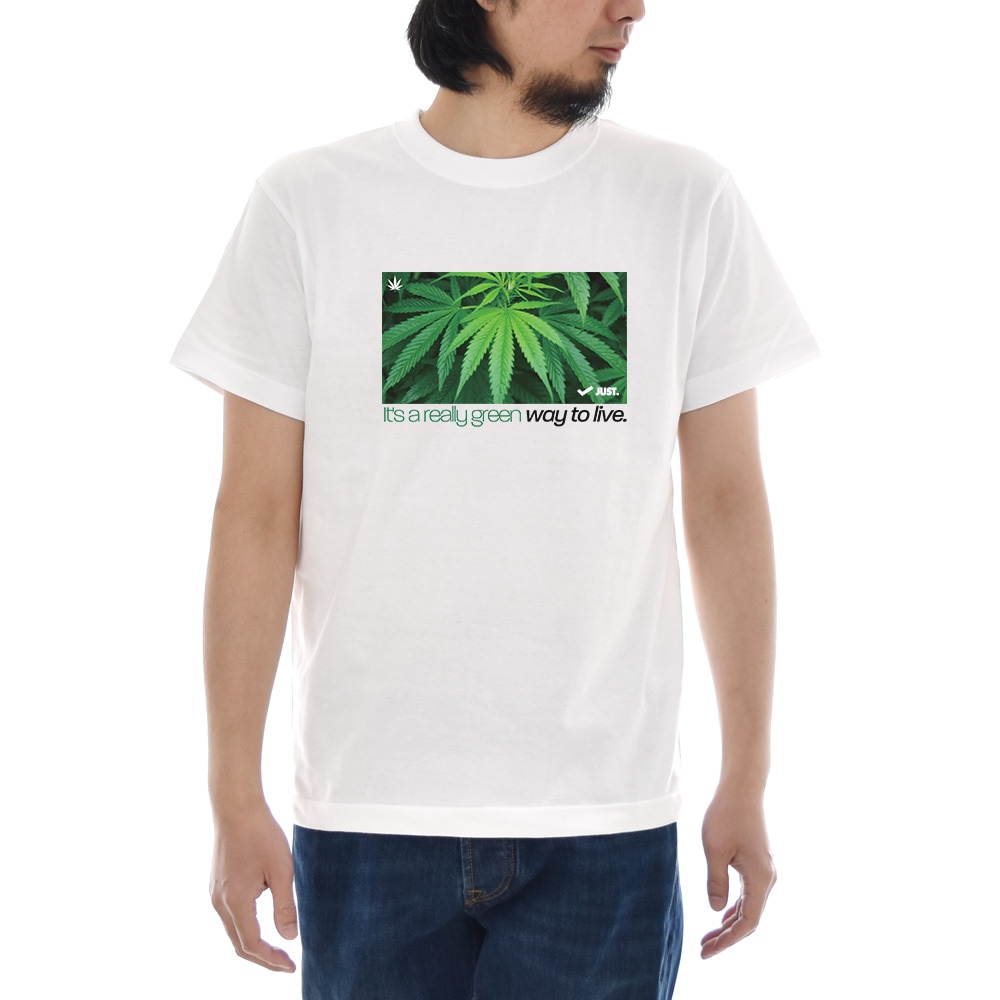 【5%OFFセール】ジャスト Tシャツ CANNABIS BOX 半袖Tシャツ メンズ おしゃれ 大きいサイズ 大麻 麻 マリファナ カンナビス ガンジャ ウィード 柄 白 S M L XL XXL XXXL 3L 4L