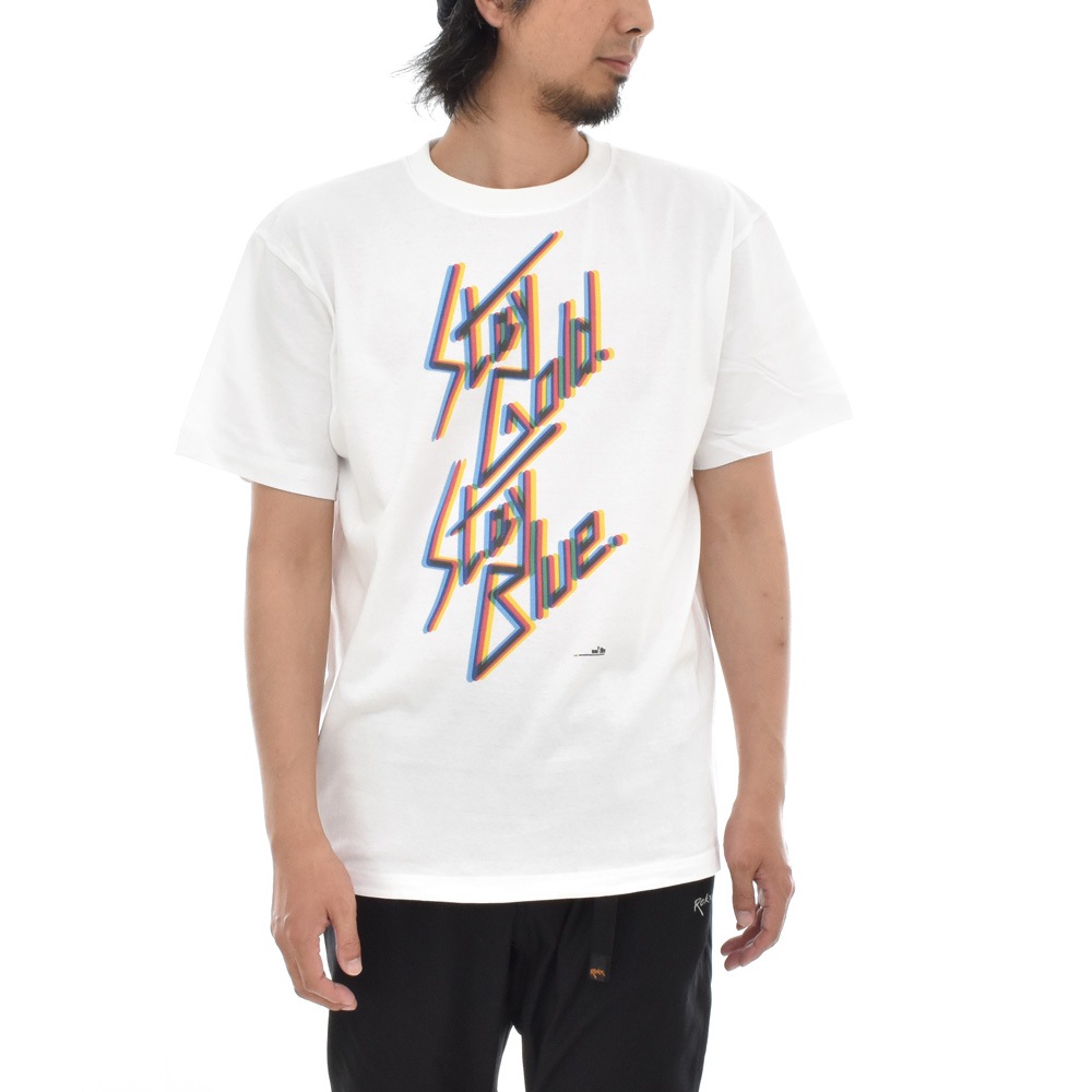 記念 Tシャツ レイダース 創業 20周年 限定 LIMITED 半袖Tシャツ ティーシャツ メンズ レディース 大きいサイズ CMYK S M L XL 3L 4L ブランド
