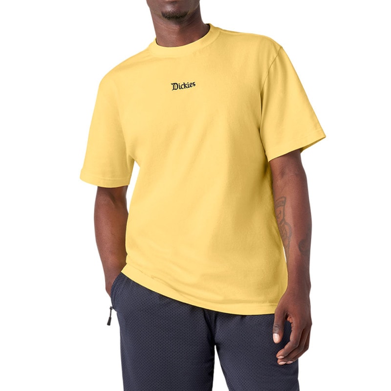 【5%OFFセール】ディッキーズスケートボーディングDickiesSkateboardingTシャツガイマリアーノプロコレクションSSGRPAHICTEEGUYMARIANOPROCOLLECTIONDK013049