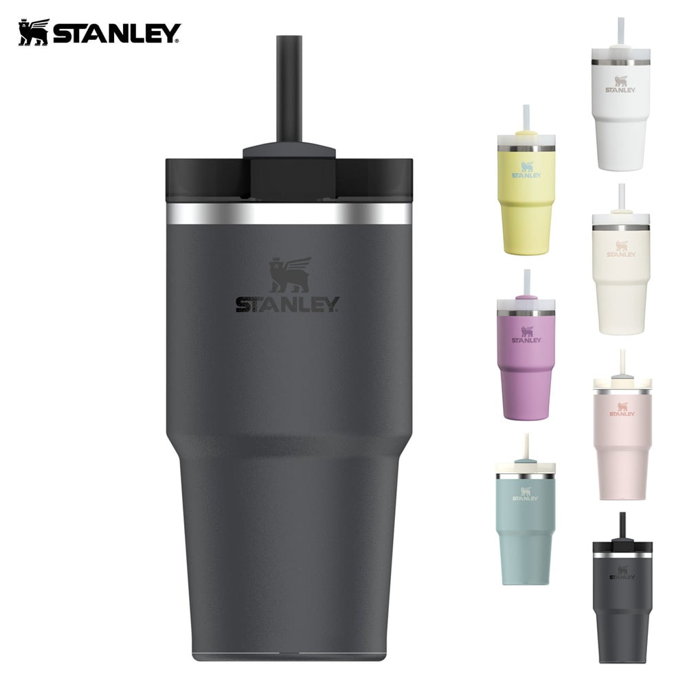 スタンレー STANLEY H2.0 真空スリムクエンチャー 0.6L 591ml【メンズ レディース 男女兼用】【ストロー付きフタ付き 真空断熱構造 保冷 水筒 タンブラー カップ コップ  アウトドア キャンプ 通勤 通学 車用】