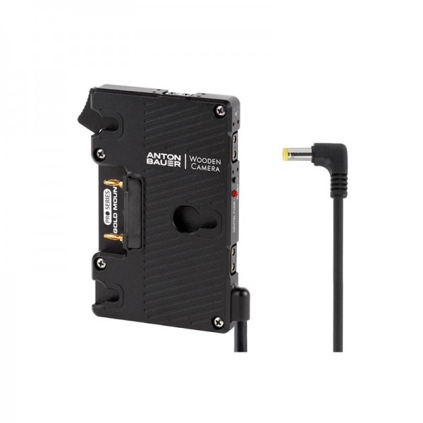 Wooden Camera - WC Pro Gold Mount (Canon C100, C100mkII, C300, C500)