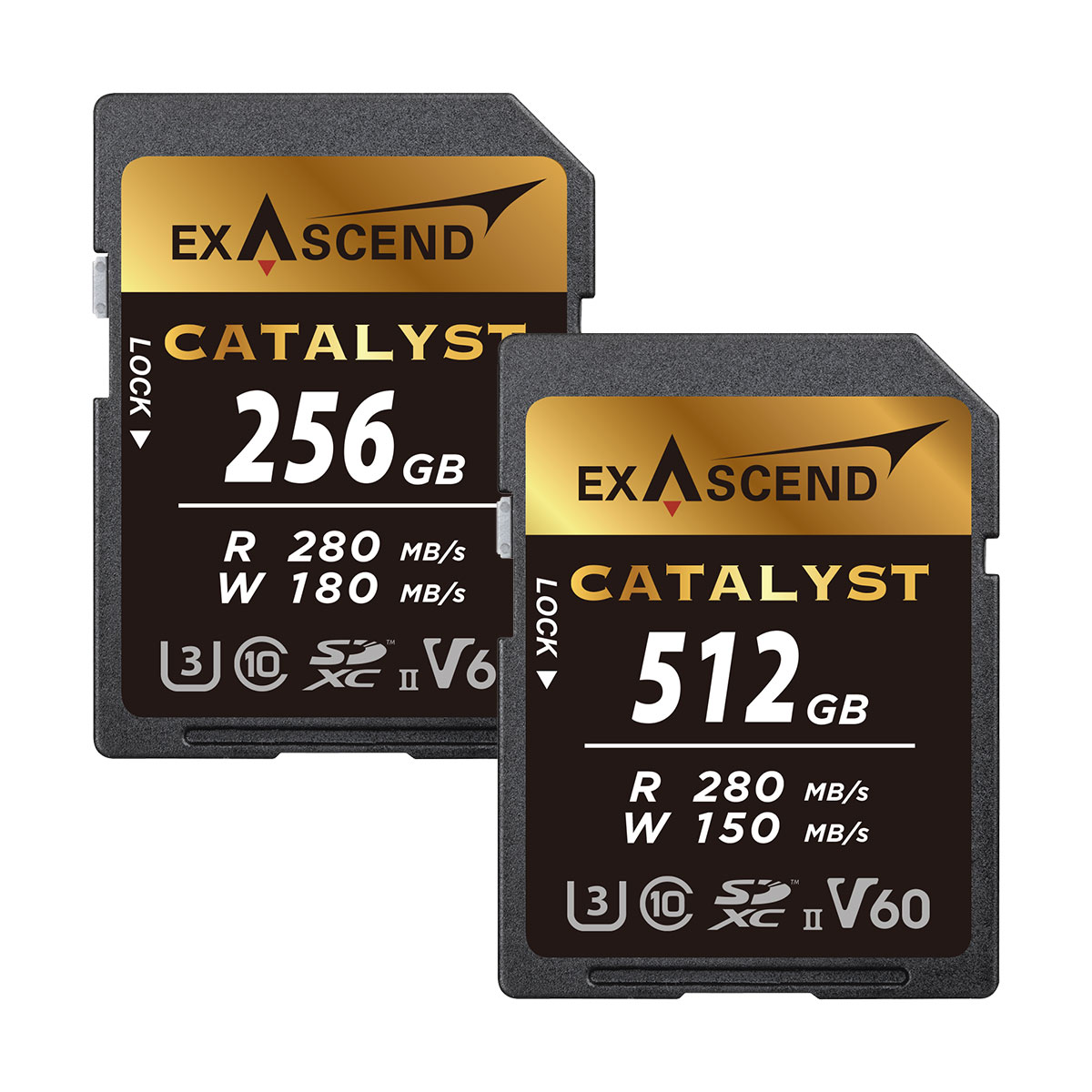 UHS-II(V60) Catalyst (128GB, 256GB, 512GB)