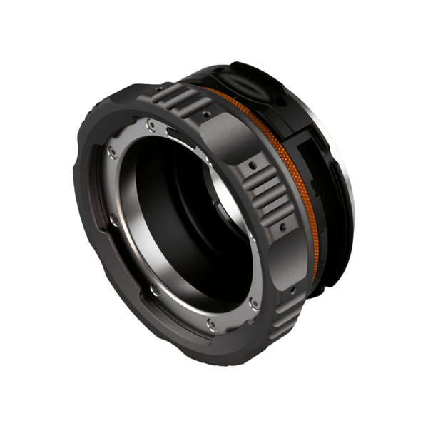 ��󥿥� Kippertie Adapta LC Z/PL