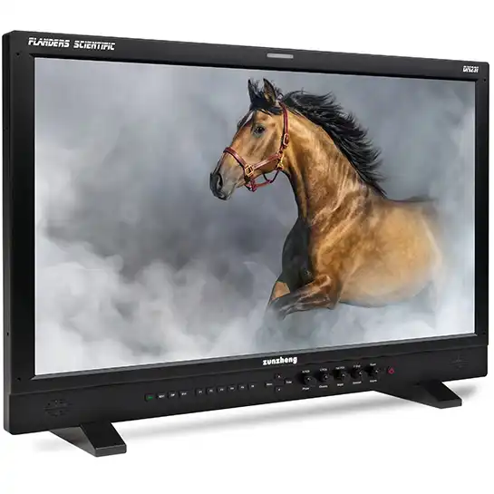 DM231����23.8����� 1920��1080 LCD��˥�����
