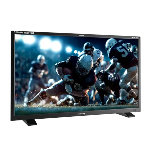 XMP310C���ʥ���ѥ��� 31.5����� HDR UHD QD-OLED��˥�����