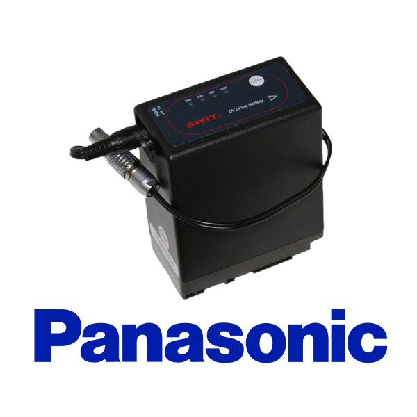 Battery - Panasonic VW-VBG6