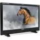 DM231����23.8����� 1920��1080 LCD��˥�����