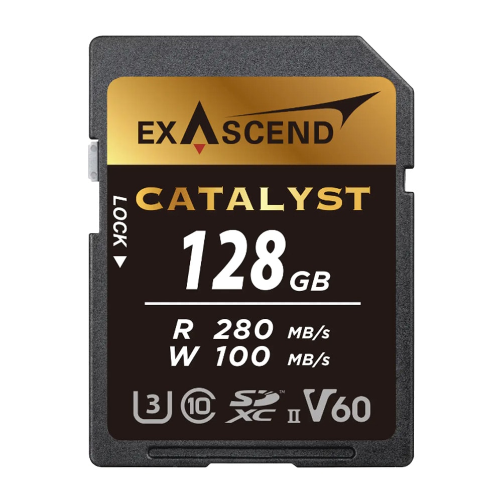 エンスカイ　2枚追加分 UHS-II(V60) Catalyst (128GB, 256GB, 512GB)