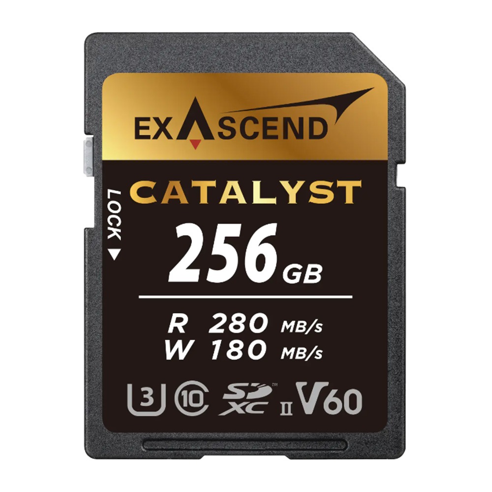UHS-II(V60) Catalyst  (128GB, 256GB, 512GB)