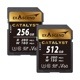UHS-II(V60) Catalyst  (128GB, 256GB, 512GB)
