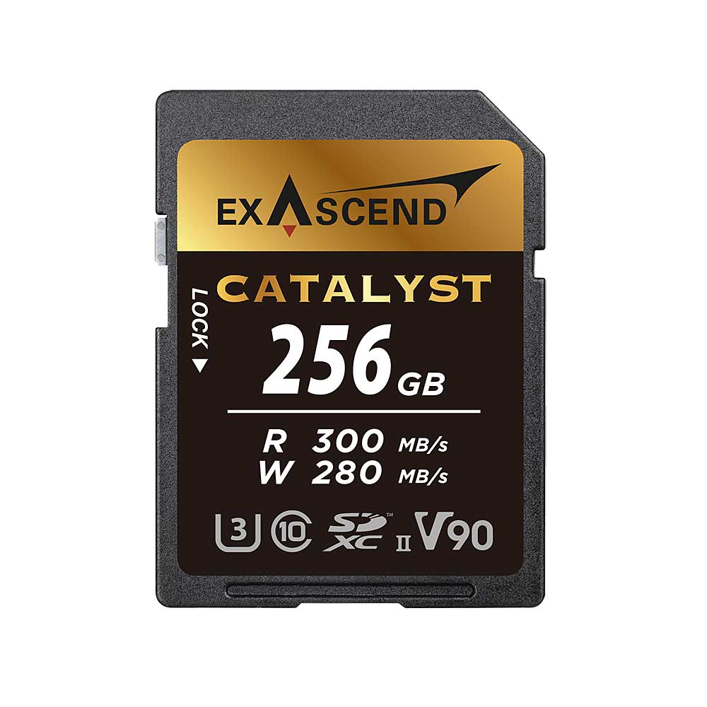 UHS-II(V90) Catalyst (64GB, 128GB, 256GB)