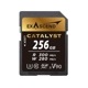 UHS-II(V90) Catalyst  (64GB, 128GB, 256GB)