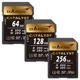 UHS-II(V90) Catalyst  (64GB, 128GB, 256GB)