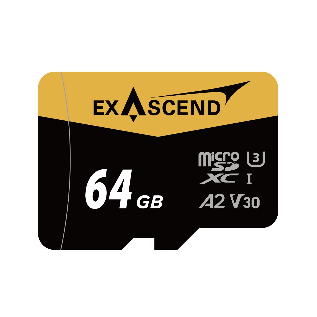 Catalyst microSD (UHS-I, V30)  (64GB, 128GB, 256GB)
