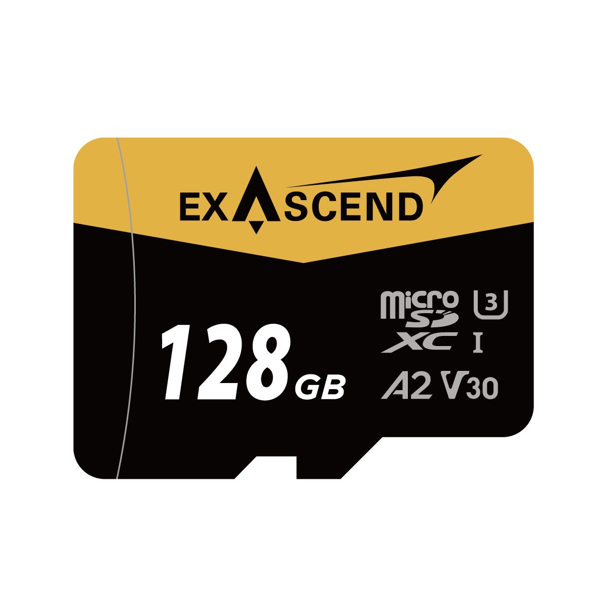 Catalyst microSD (UHS-I, V30)  (64GB, 128GB, 256GB)