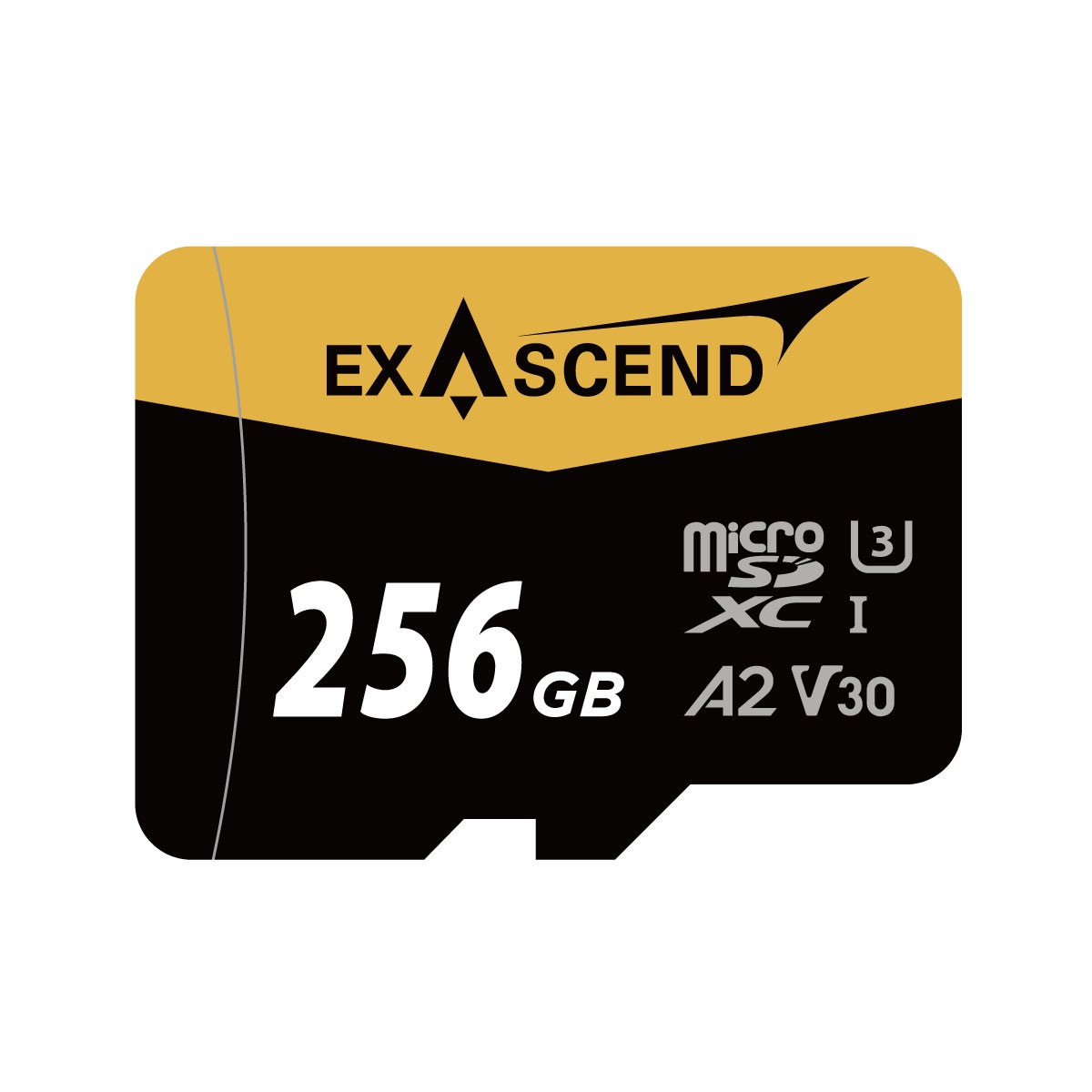 Catalyst microSD (UHS-I, V30) (64GB, 128GB, 256GB)