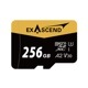 Catalyst microSD (UHS-I, V30)  (64GB, 128GB, 256GB)