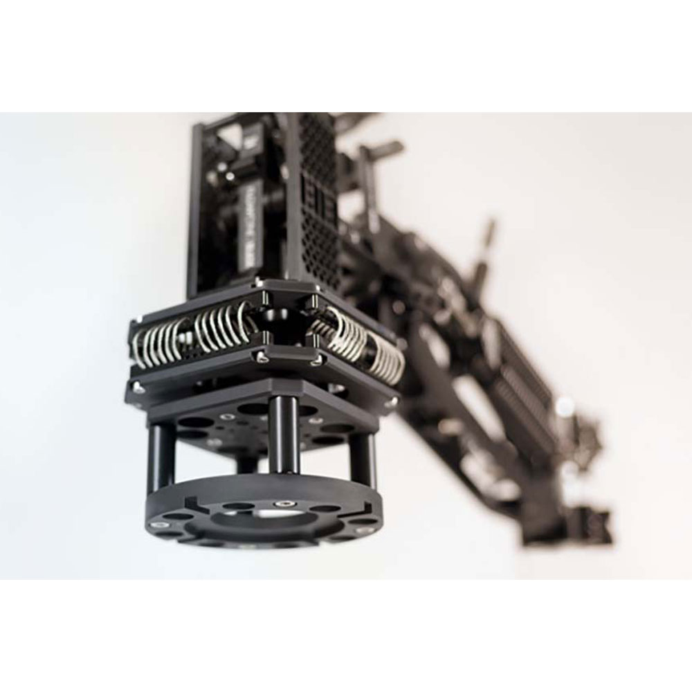 FEMALE MITCHELL MOUNT