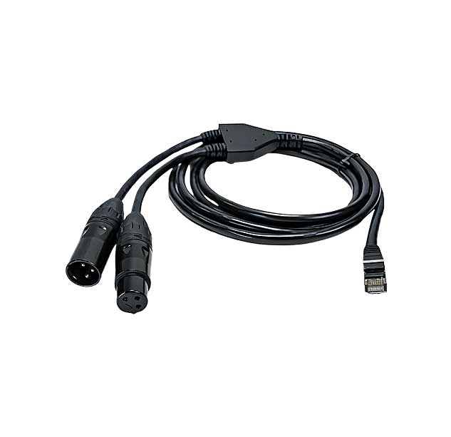 Ethernet to Dual XLR Cable