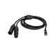 Ethernet to Dual XLR Cable