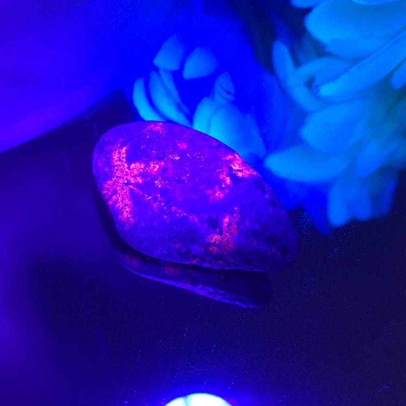 【新世界の扉をひらく】ユーパーライト ※ブラックライト付き！