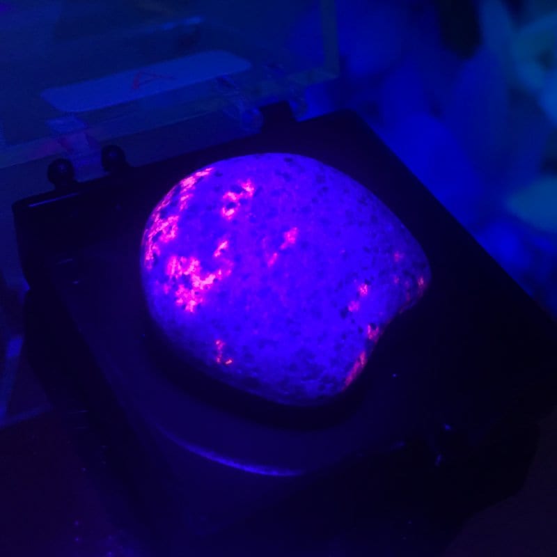 【新世界の扉をひらく】ユーパーライト ※ブラックライト付き！