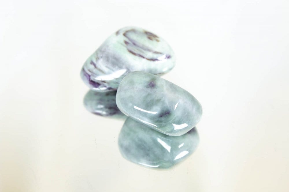 【家族やグループを癒して繋ぐ】カメレライトB