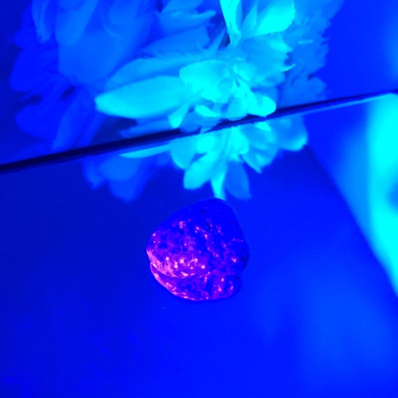 【新世界の扉をひらく】ユーパーライト ※ブラックライト付き！