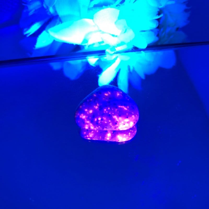 【新世界の扉をひらく】ユーパーライト ※ブラックライト付き！