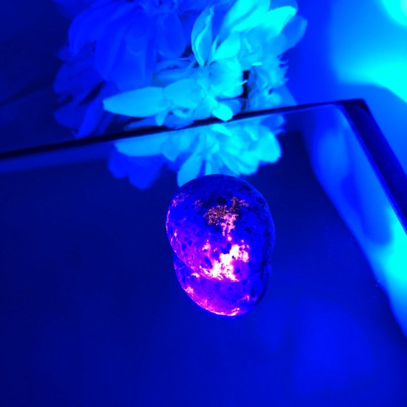 【新世界の扉をひらく】ユーパーライト ※ブラックライト付き！