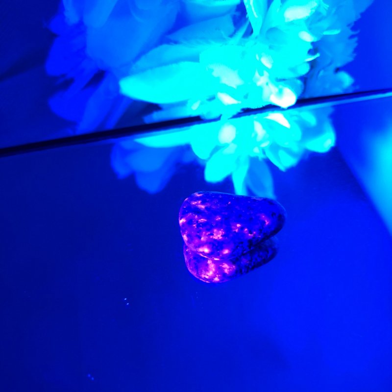 【新世界の扉をひらく】ユーパーライト ※ブラックライト付き！