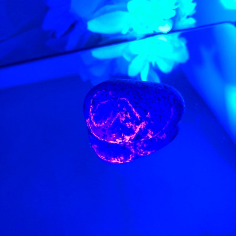 【新世界の扉をひらく】ユーパーライト ※ブラックライト付き！