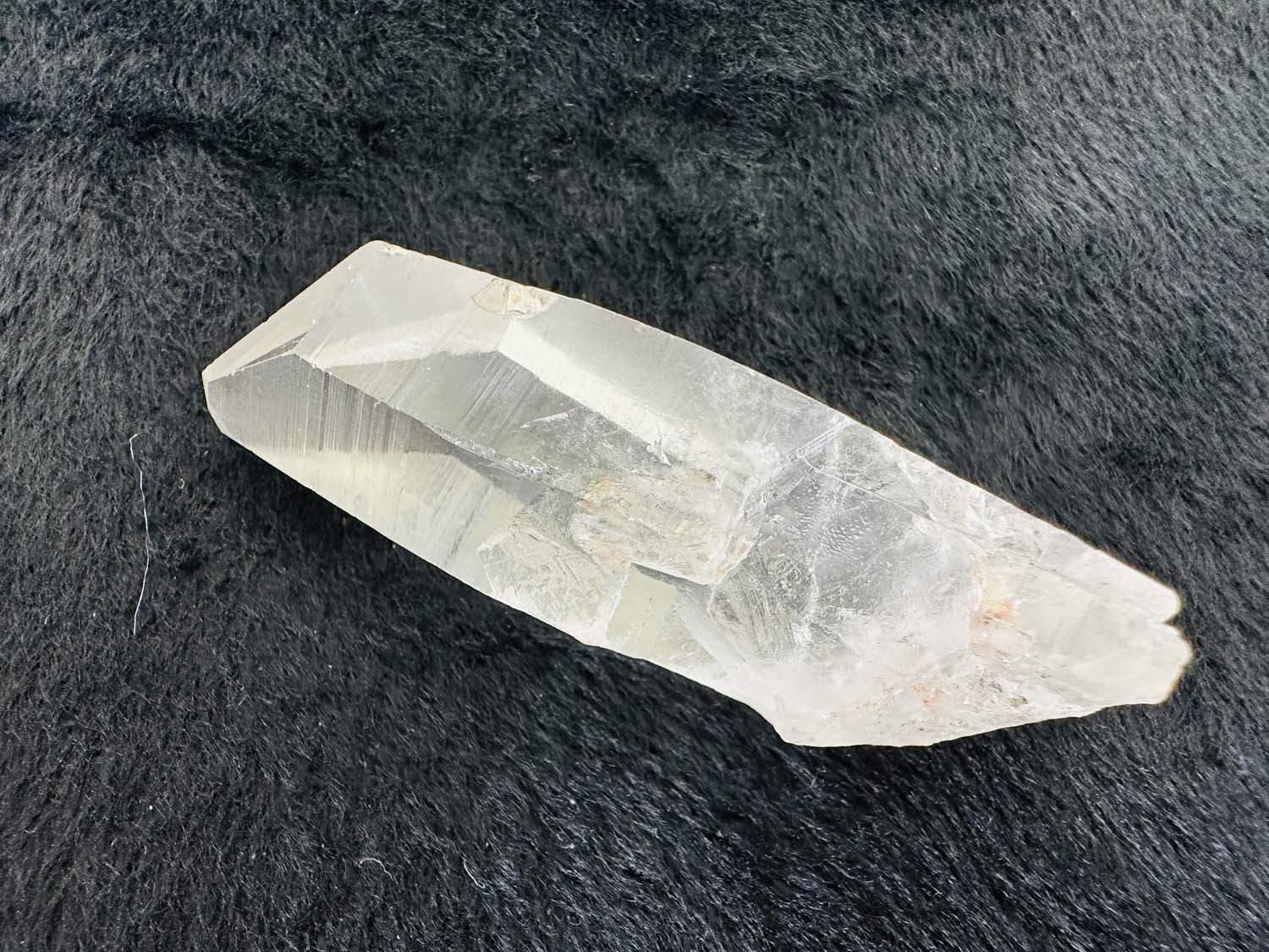 レムリアンシードオールドレムリアン