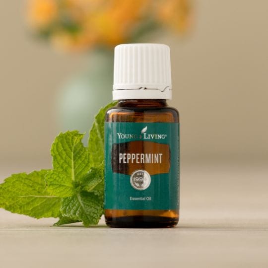 LMS　ペパーミント - ヤングリビング オイル
