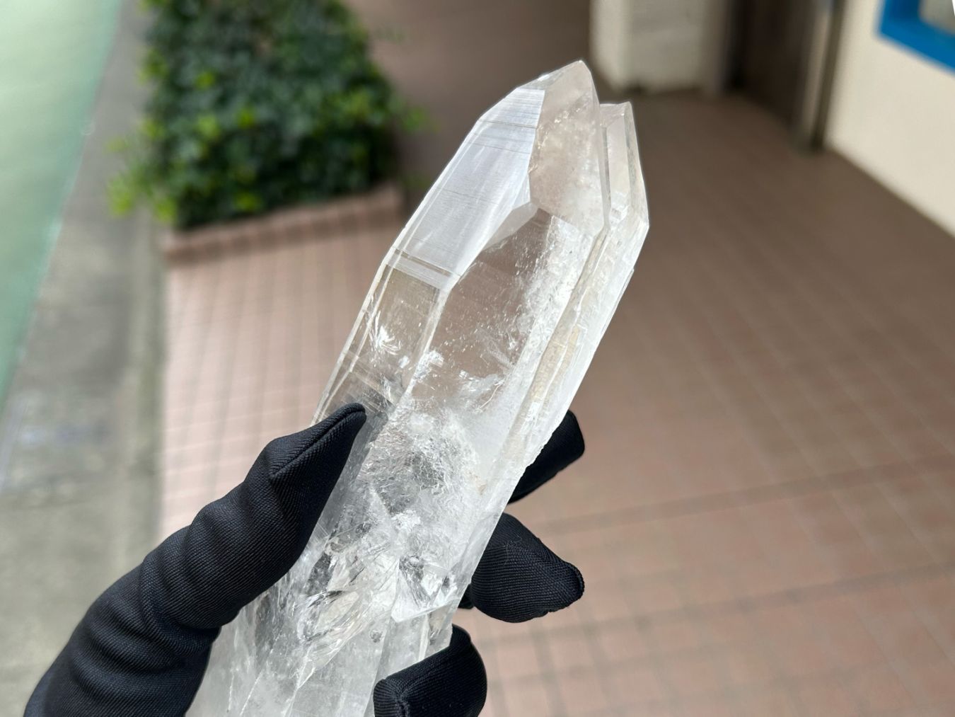 【純粋な波動で魂を解放】ピュアレイ