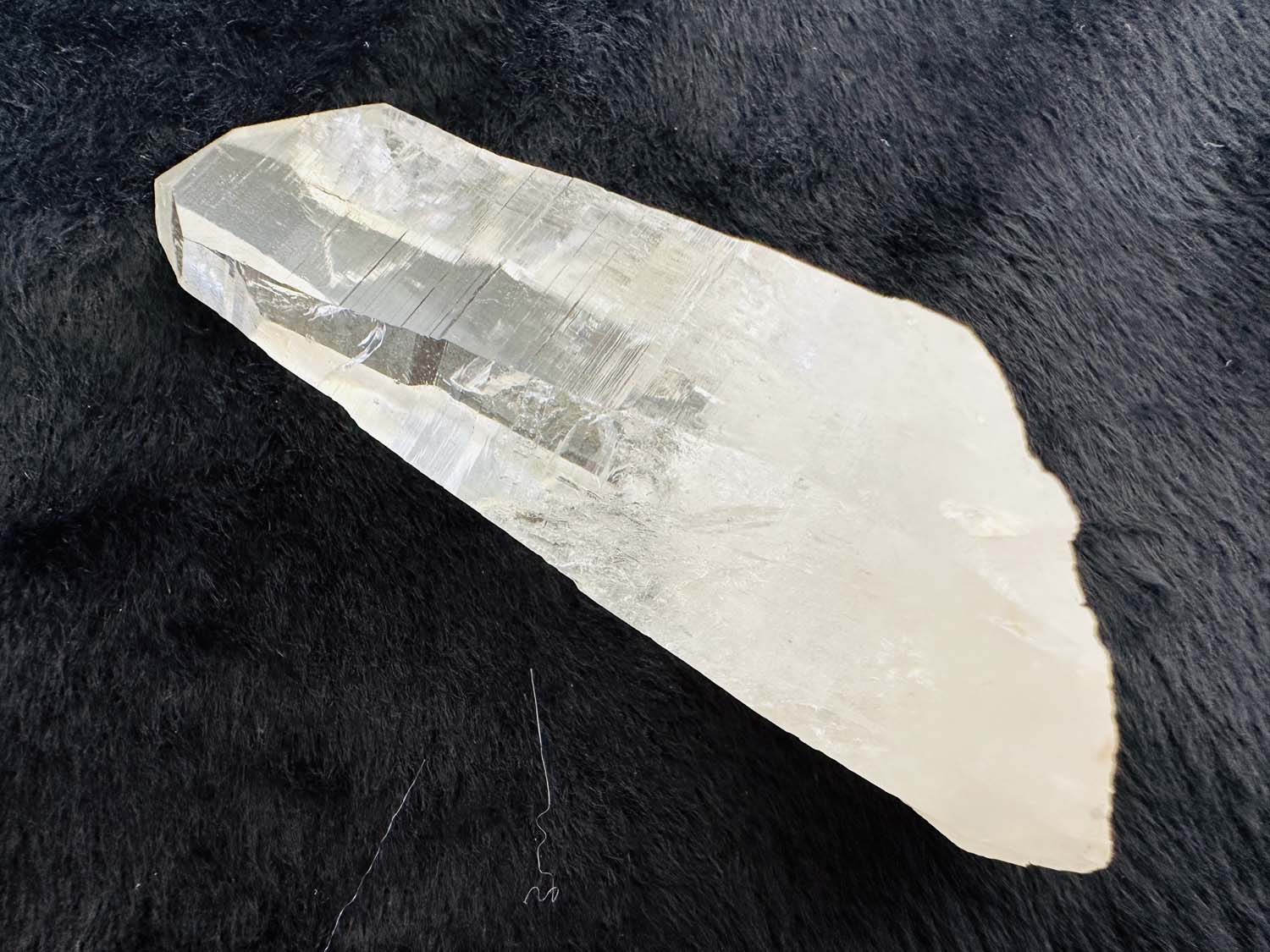 【原初の愛】オールド・レムリアンシード