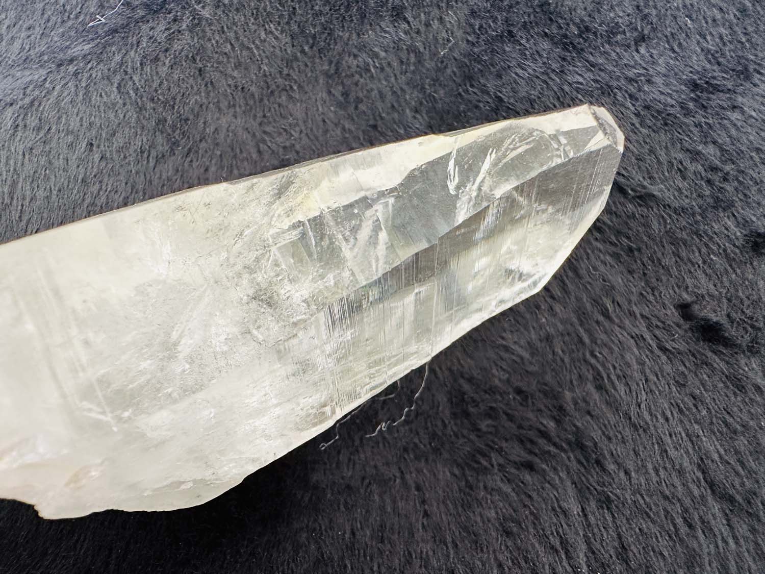 【原初の愛】オールド・レムリアンシード