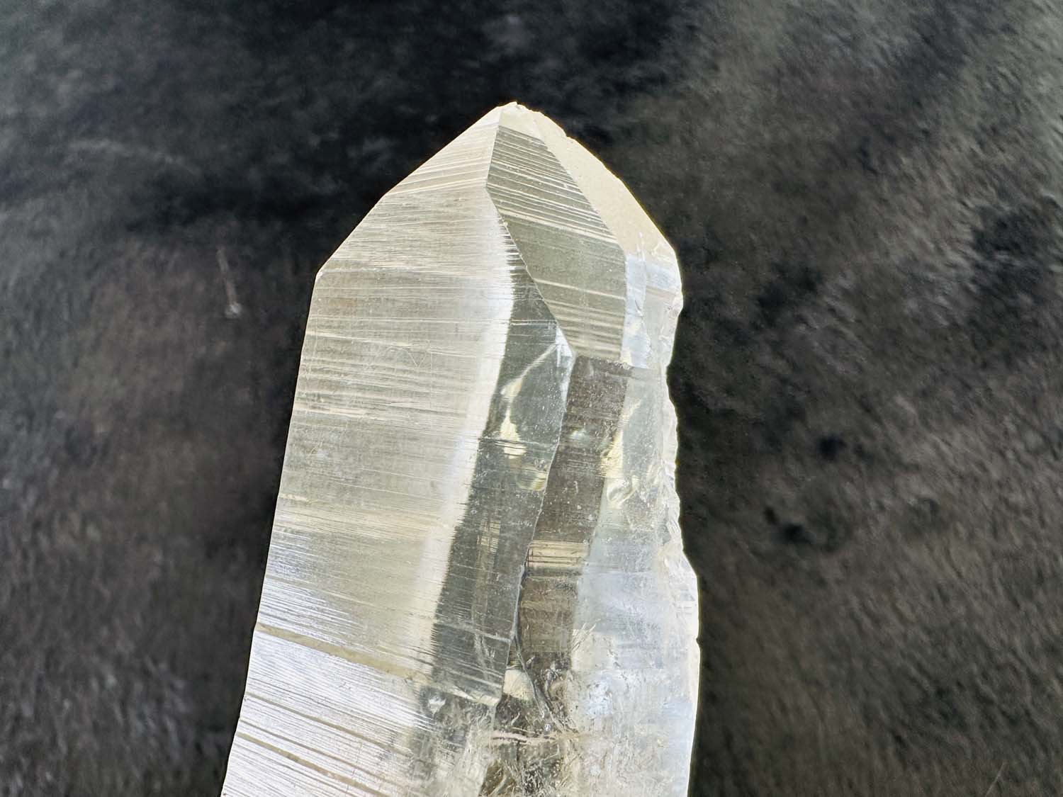 【原初の愛】オールド・レムリアンシード