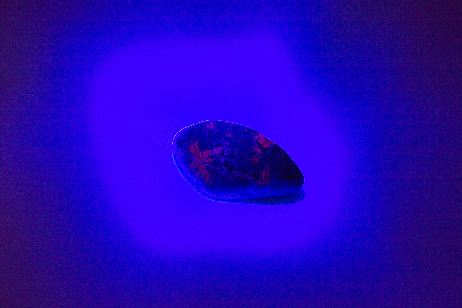 【新世界の扉をひらく】ユーパーライト ※ブラックライト付き！