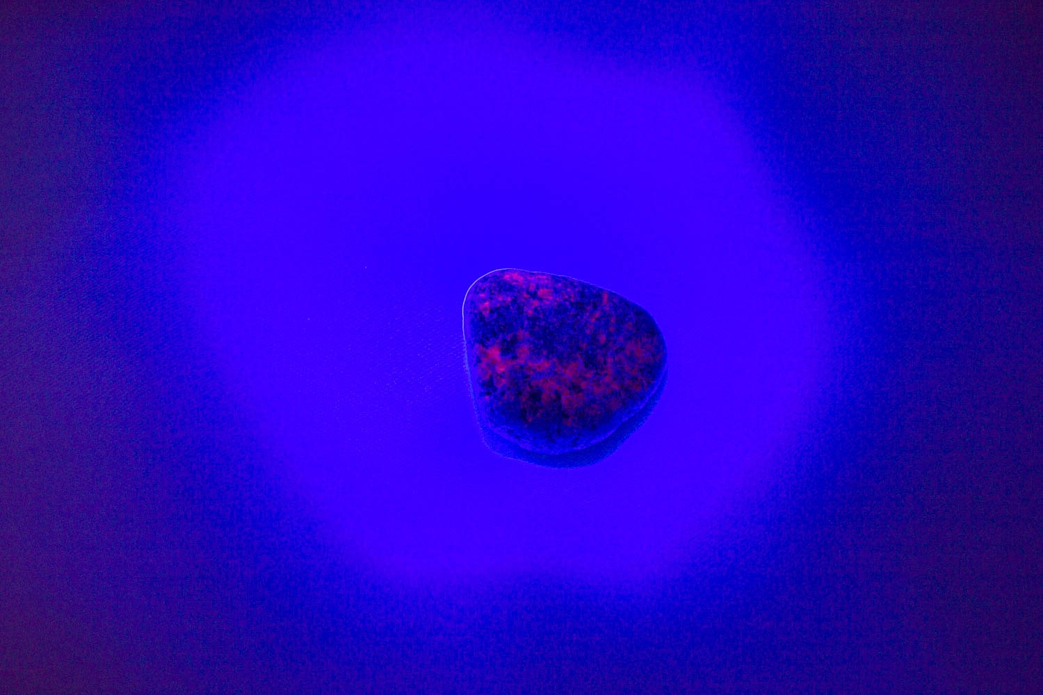 【新世界の扉をひらく】ユーパーライト ※ブラックライト付き!