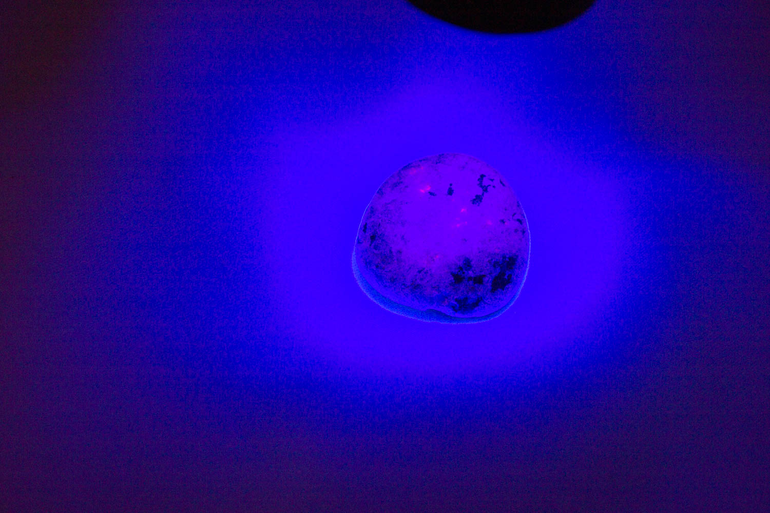 【新世界の扉をひらく】ユーパーライト ※ブラックライト付き！